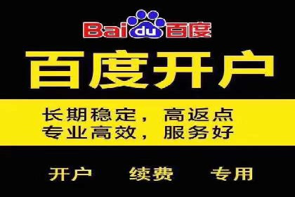 案例解析：sem竞价策略在电商平台的成功应用